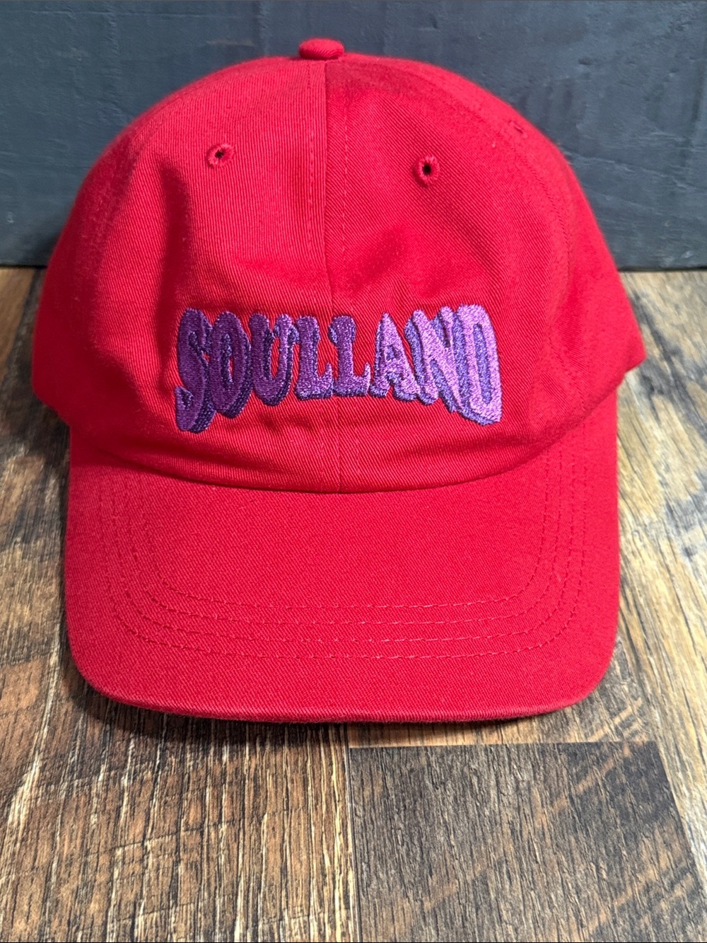 Soulland SS18 Red Purple Embroidered Logo Baseball Cap NWT